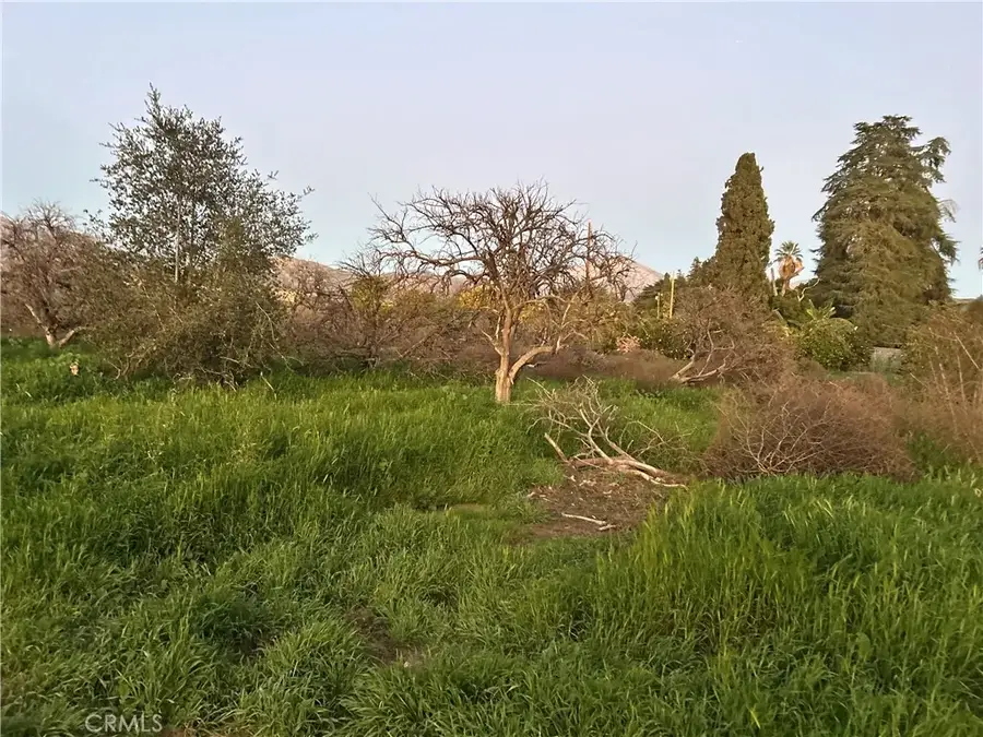 400 Walnut, Redlands, CA 92373 - #3