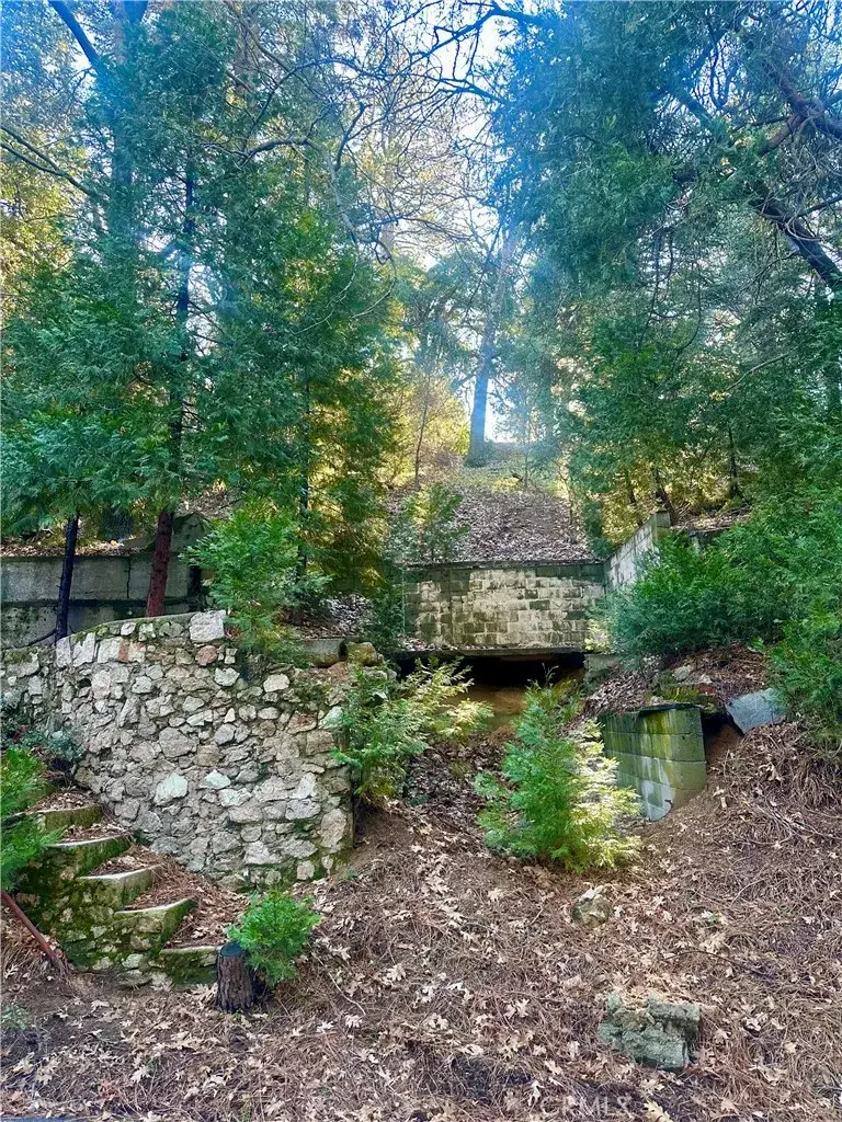 0 Ashlar, Crestline, CA 92325 - #3