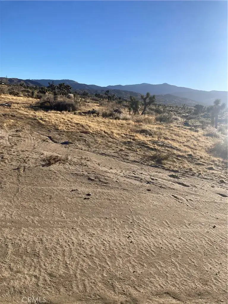 1 White Fox Trail, Phelan, CA 92371 - #1
