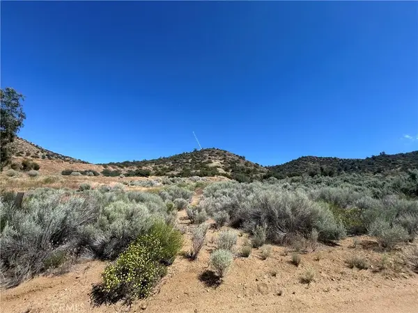 0 Vac/alluvium Wy (drt)/vic Rosenl, Acton, CA 91350