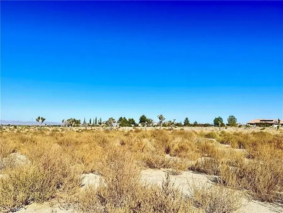 11975 Primavera, Pinon Hills, CA 92372 - #2