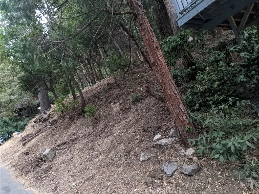 0 Wildwood, Crestline, CA 92325 - #1