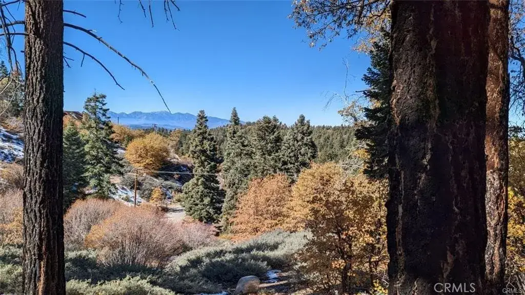 0 San Antonio, Green Valley Lake, CA 92341 - #1