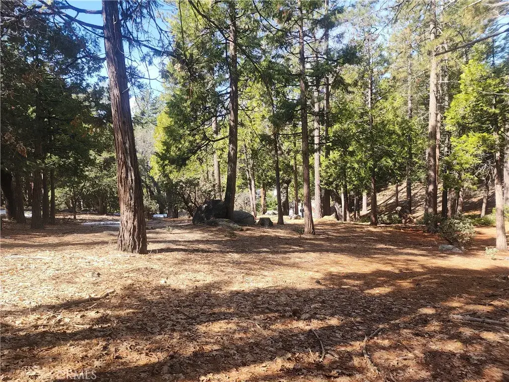 52547 Pine Cove, Idyllwild, CA 92549 - #1