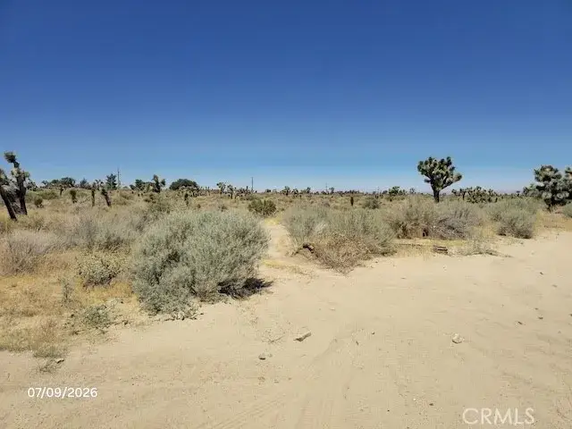 0 Daisy, Phelan, CA 92371 - #2