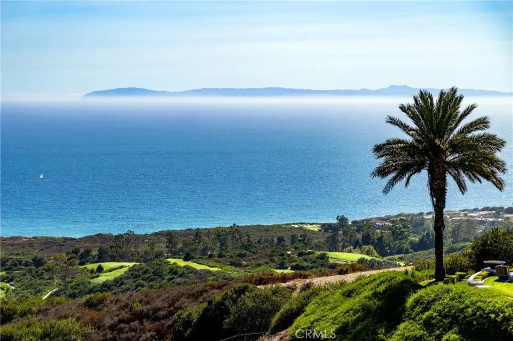 23 Pelican Vista, Newport Coast, CA 92657 - #1