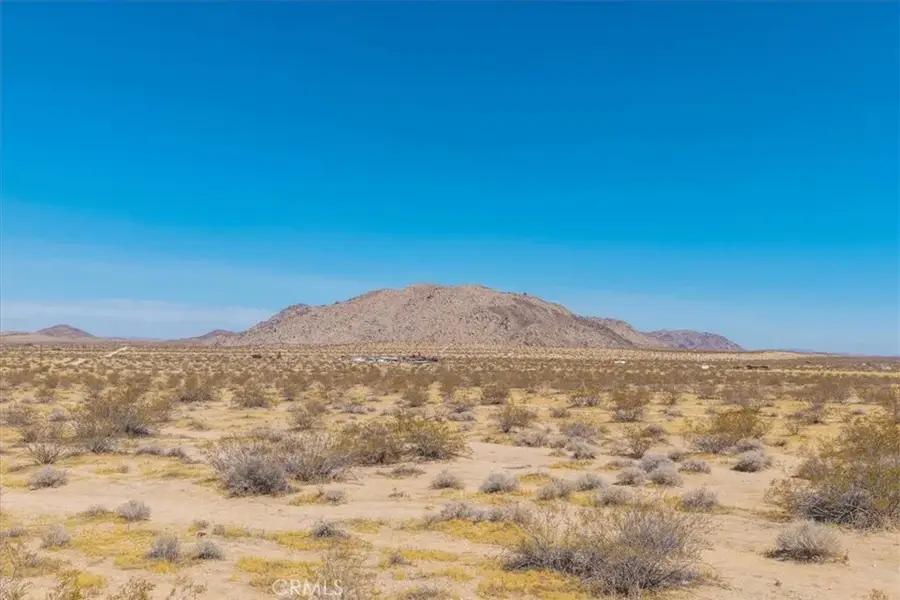 0 Bodick Road, Landers, CA 92285 - #2