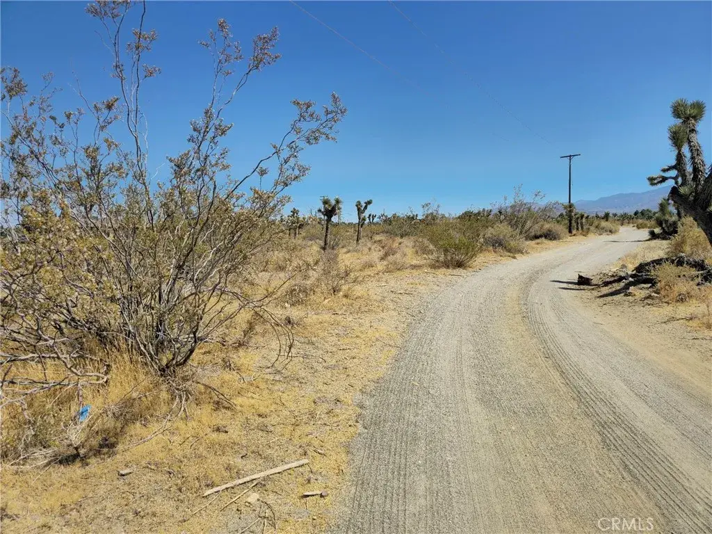 0 Macro, Pinon Hills, CA 92372 - #1