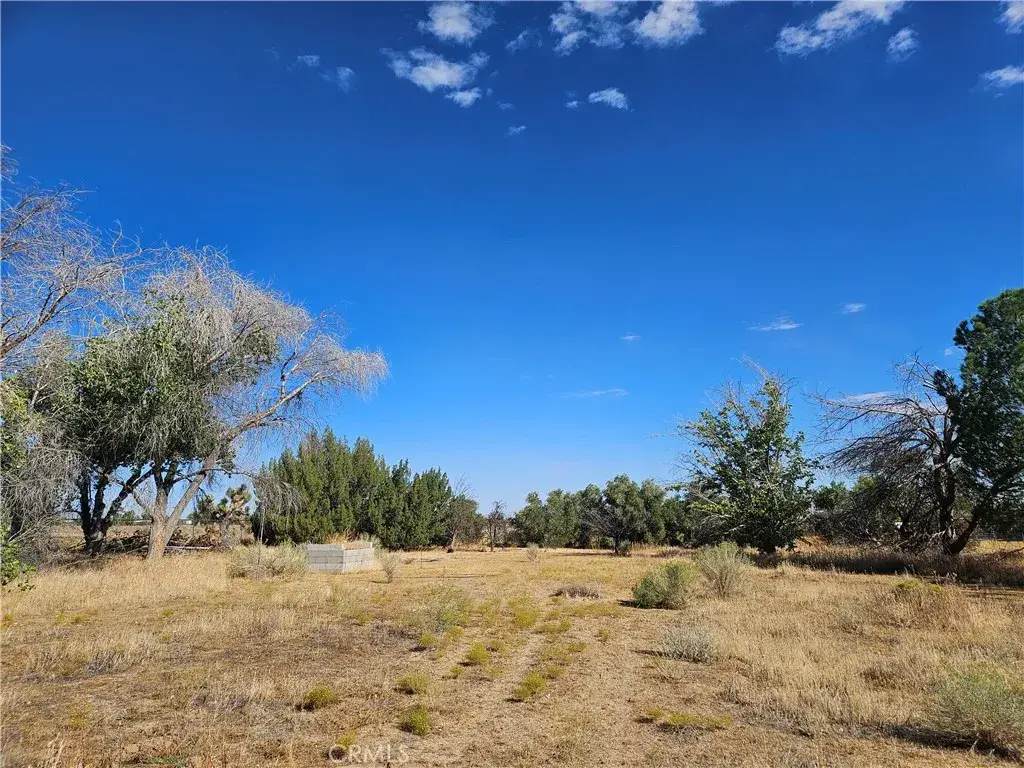 0 Juniper, Phelan, CA 92371 - #1