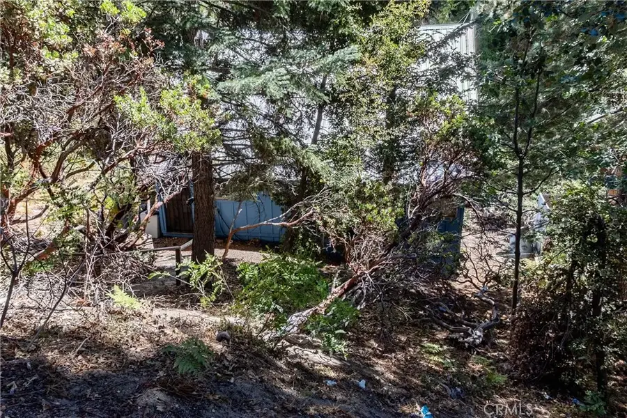 5895 Robin Oak, Angelus Oaks, CA 92305 - #2