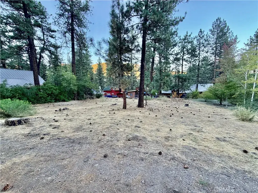 1322 Edna, Wrightwood, CA 92397 - #1