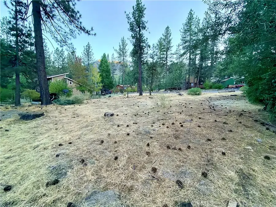 1322 Edna, Wrightwood, CA 92397 - #3