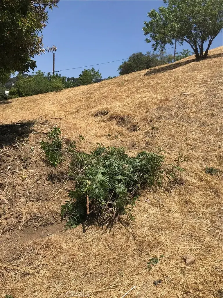 0 Thorpe, Los Angeles, CA 90065 - #2
