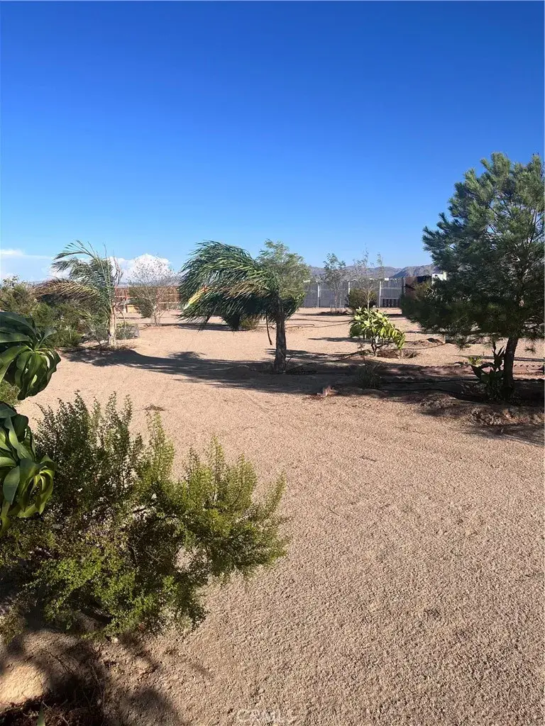 3423 Canyon Rd, Twentynine Palms Yucca Valley, CA 92277 - #1