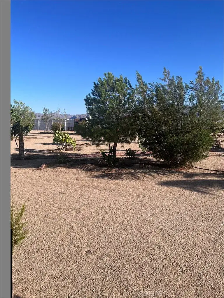 3423 Canyon Rd, Twentynine Palms Yucca Valley, CA 92277 - #3