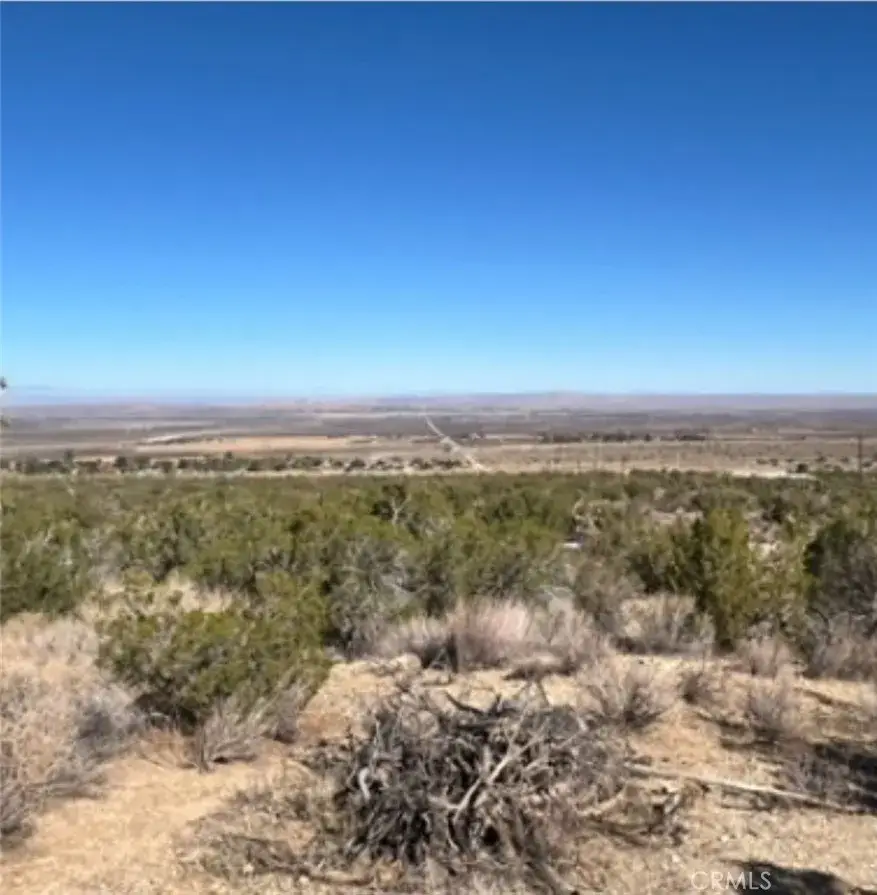 0 Y8/vic Vac, Llano, CA 93544 - Image #1