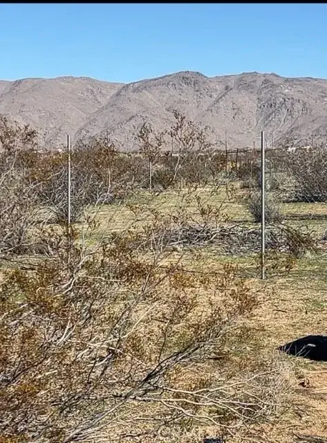 11061 Tujunga, Apple Valley, CA 92308 - Image #3