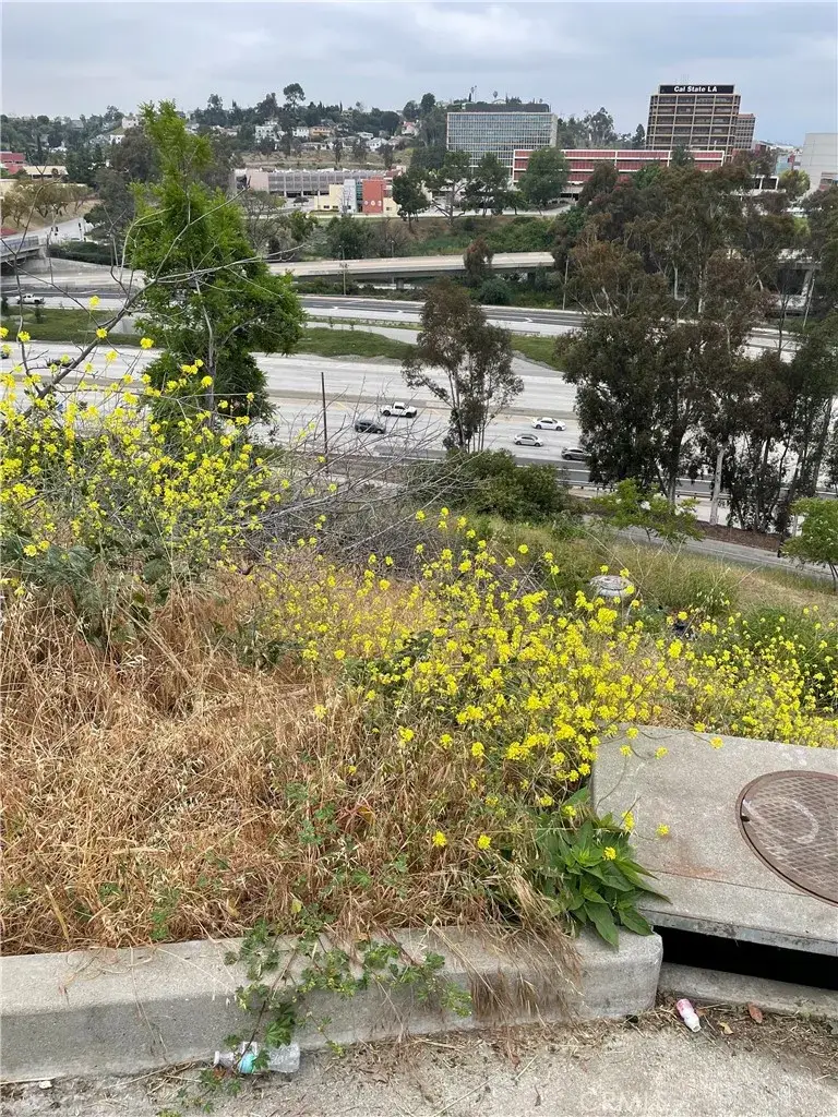 4433 Hayes, Los Angeles, CA 90063 - #2