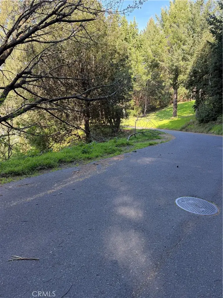 767 Spring Road, Shelter Cove, CA 95589 - #2