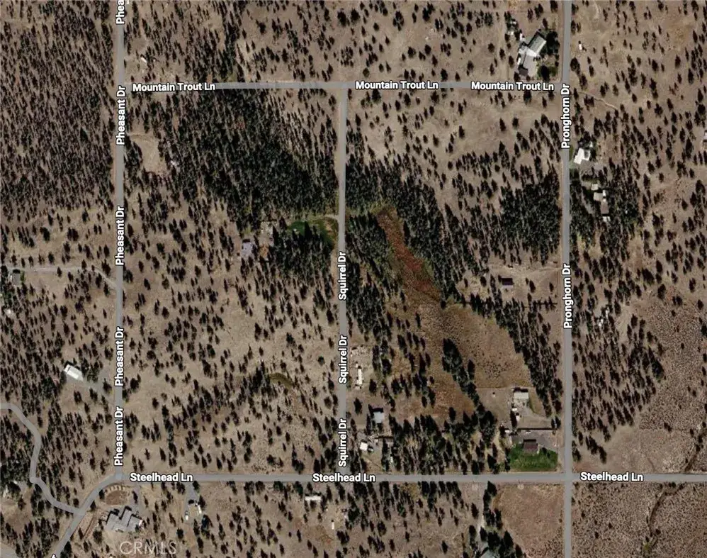 0 Pheasant, Alturas, CA 96101 - #1