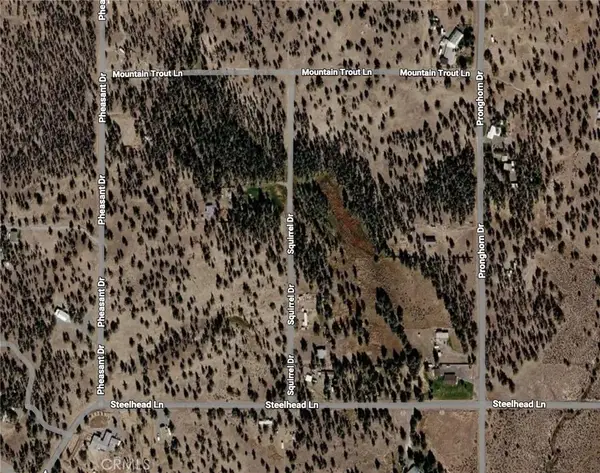 0 Pheasant, Alturas, CA 96101