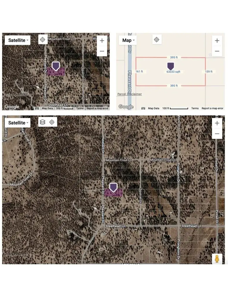 0 Pheasant, Alturas, CA 96101 - #2