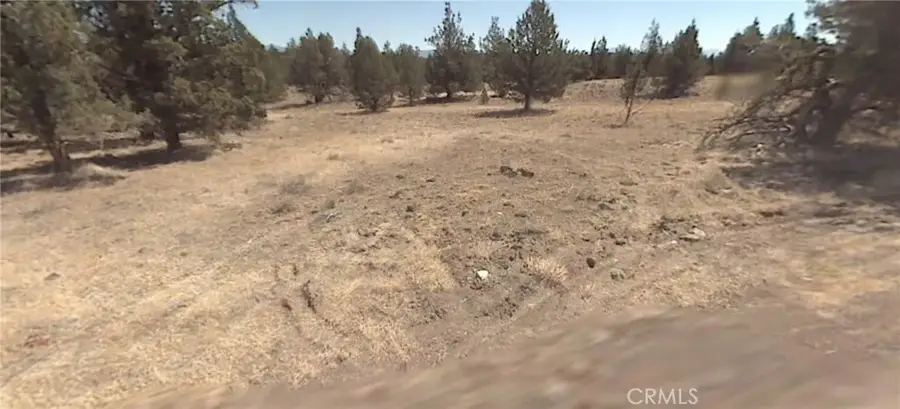 0 Pheasant, Alturas, CA 96101 - #3