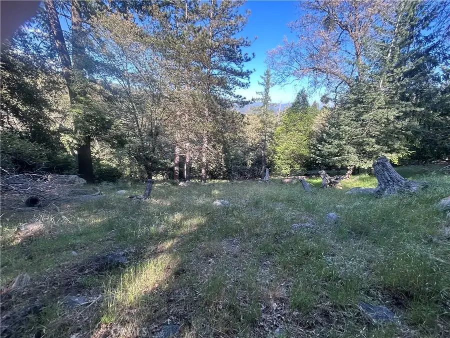 342 Canyon Dr, Cedarpines Park, CA 92322 - #2