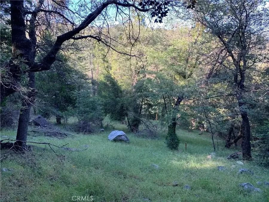 342 Canyon Dr, Cedarpines Park, CA 92322 - #3