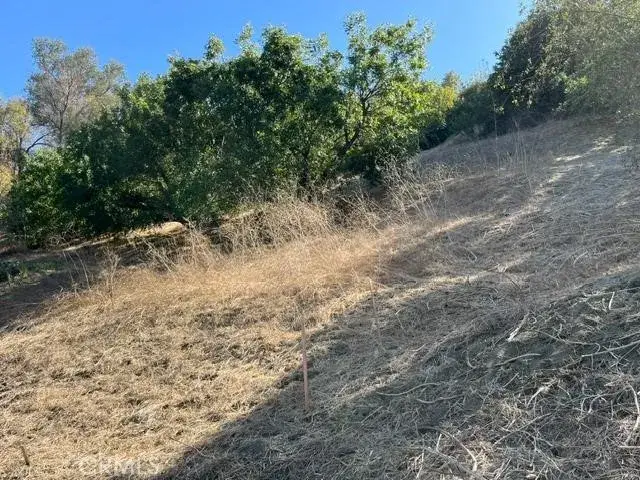 0 Palomar, La Habra Heights, CA 90631 - #1