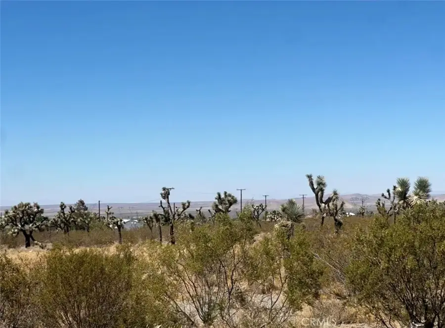 0 Bear Valley, Pinon Hills, CA 92372 - #3