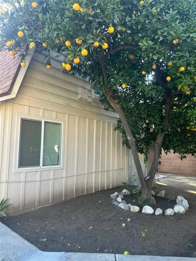 20247 Lanark Street, Winnetka, CA 91306 - #2