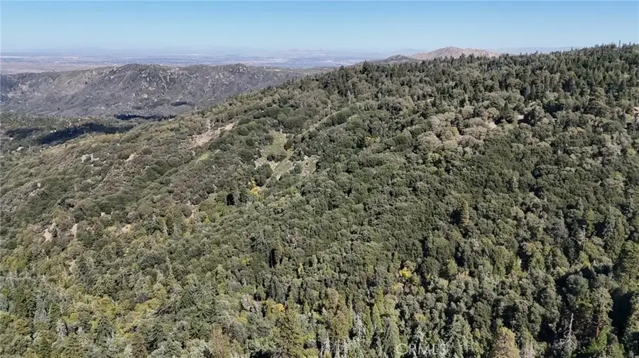 0 Strawberry Ln, Twin Peaks, CA 92391 - #3