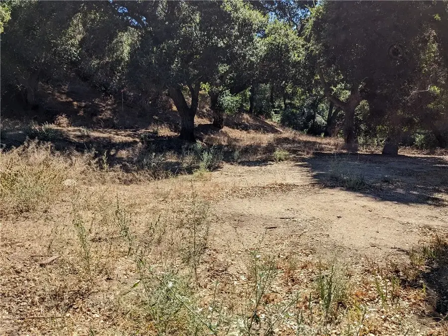 0 San Francisquito Cyn Rd, Santa Clarita, CA 91350 - #3