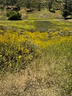 0 Mcburney Ave, Lake Elsinore, CA 92530 - Image #3