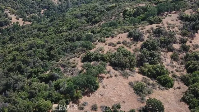 8 Acres, Miramonte, CA 93641 - Image #1