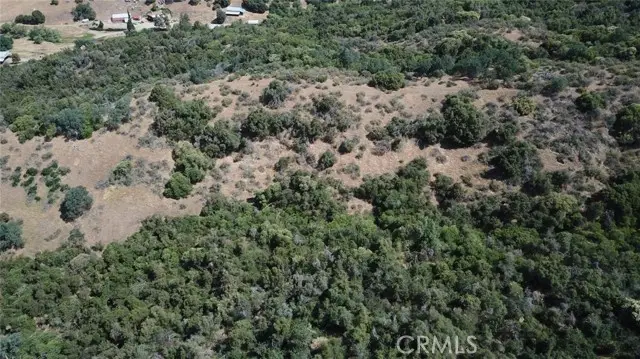 8 Acres, Miramonte, CA 93641 - Image #2