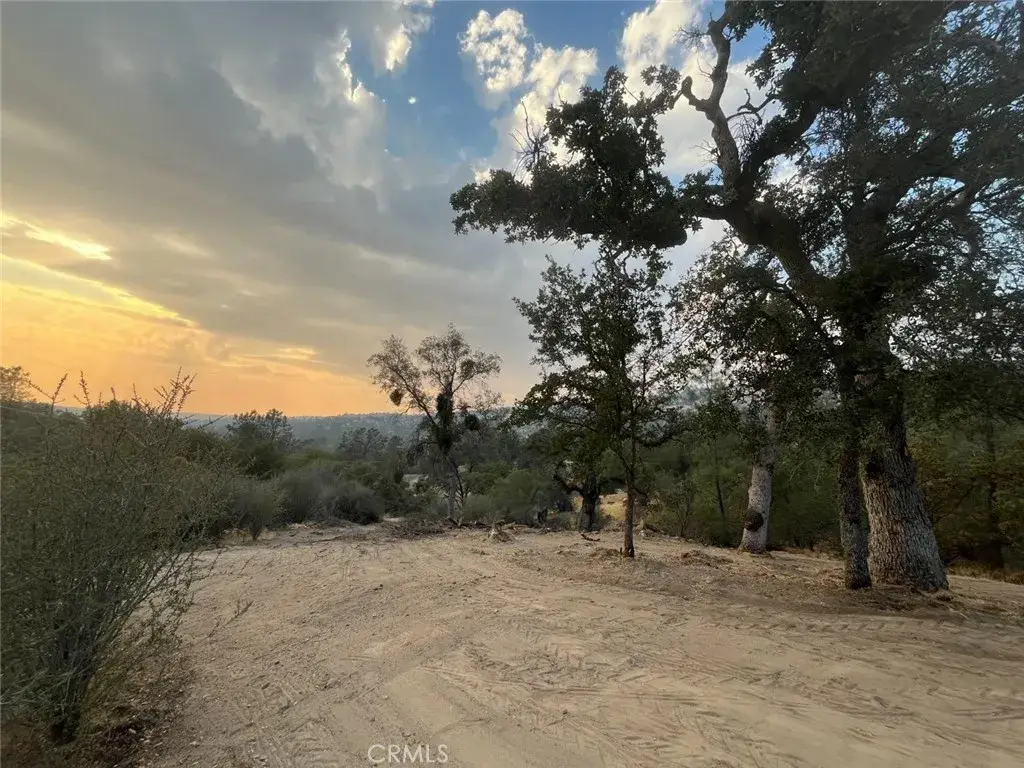 1703 Long Hollow, Coarsegold, CA 93614 - #1