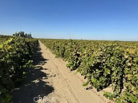 1 S Bishop, Kerman, CA 93630