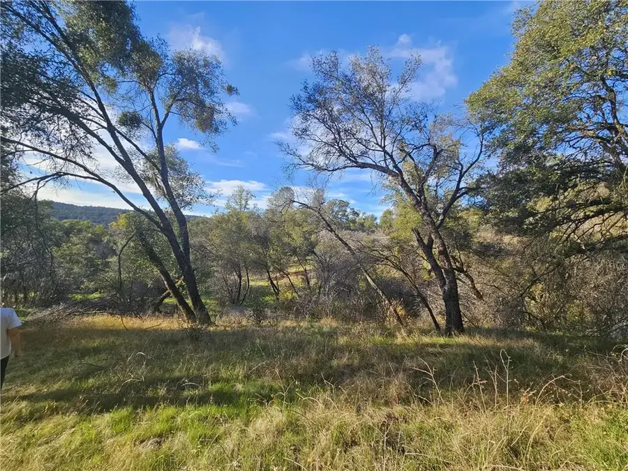 58111 Lark, North Fork, CA 93643 - Image #3