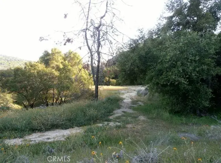 37 Lynx, Prather, CA 93651 - #2