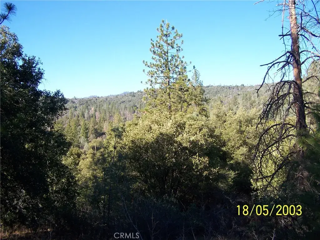 10 Jean Rd West, Oakhurst, CA 93644 - #1