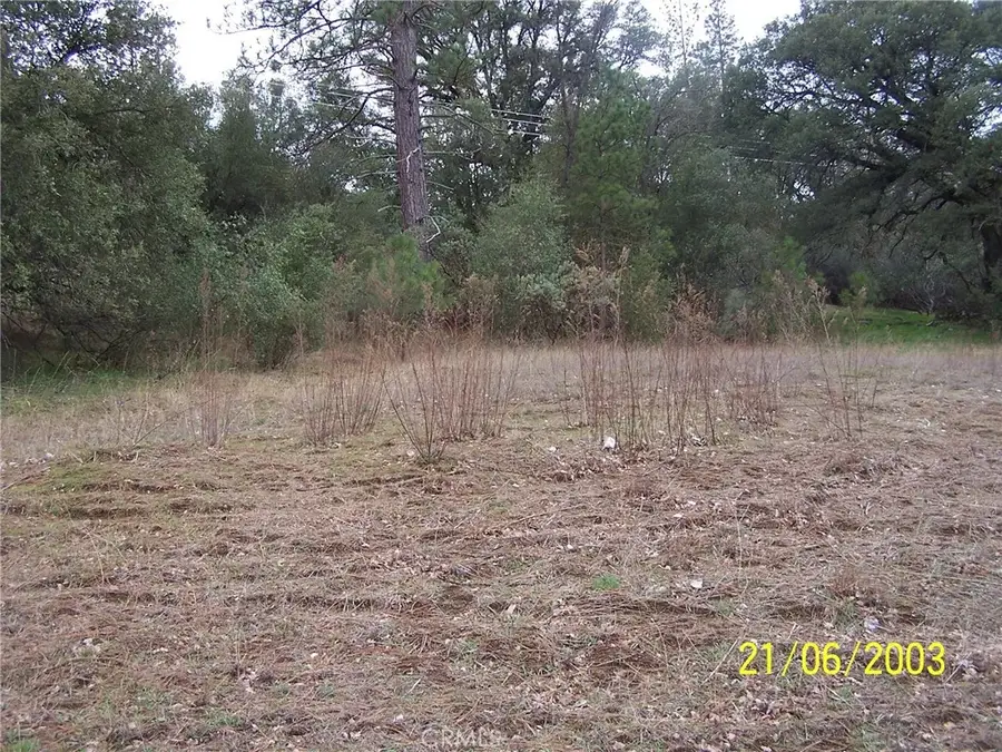 10 Jean Rd West, Oakhurst, CA 93644 - #3