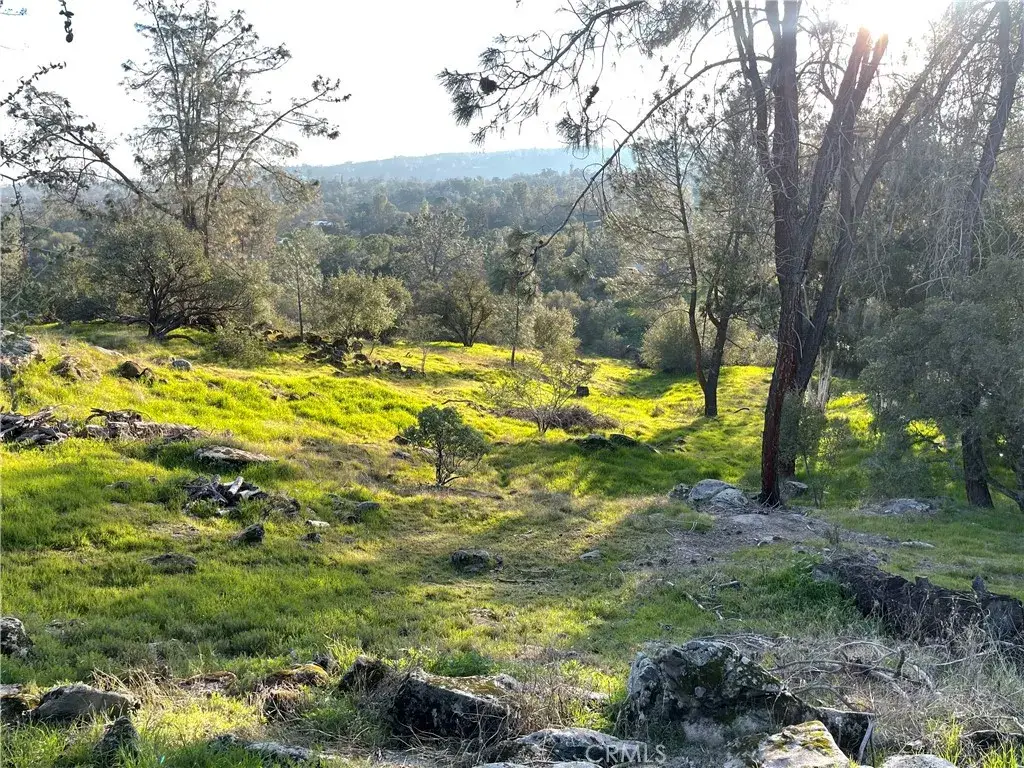 1220 Corral, Coarsegold, CA 93614 - #1