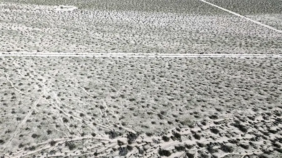 62999 E Broadway, Joshua Tree, CA 92252 - #3