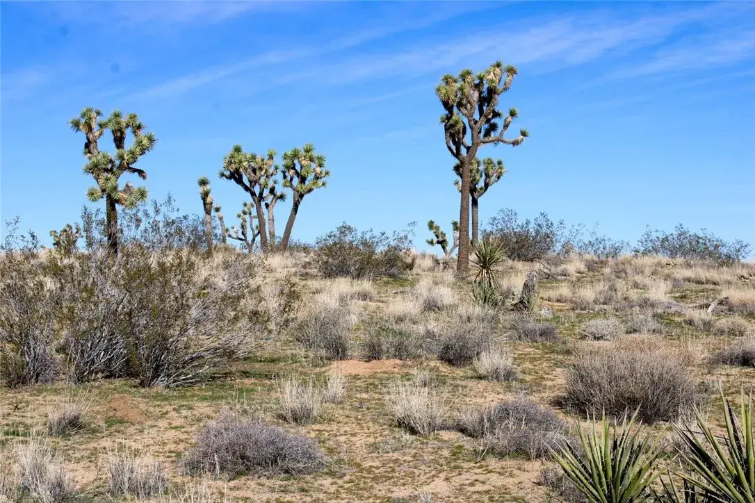 21099 Valley Vista, Yucca Valley, CA 92284 - #1