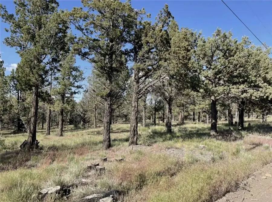 0 Hilltop, Alturas, CA 96101 - #3