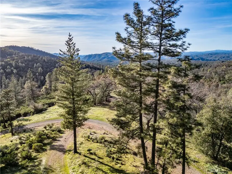 5314 Wilderness View, Mariposa, CA 95338 - #3