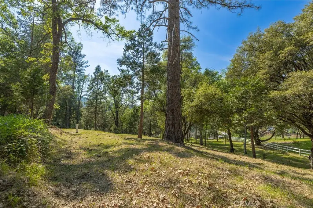 1 Oak, Oakhurst, CA 93644 - #1