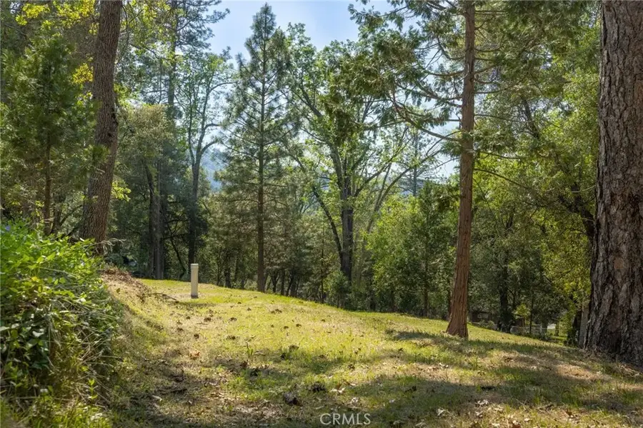 1 Oak, Oakhurst, CA 93644 - #2